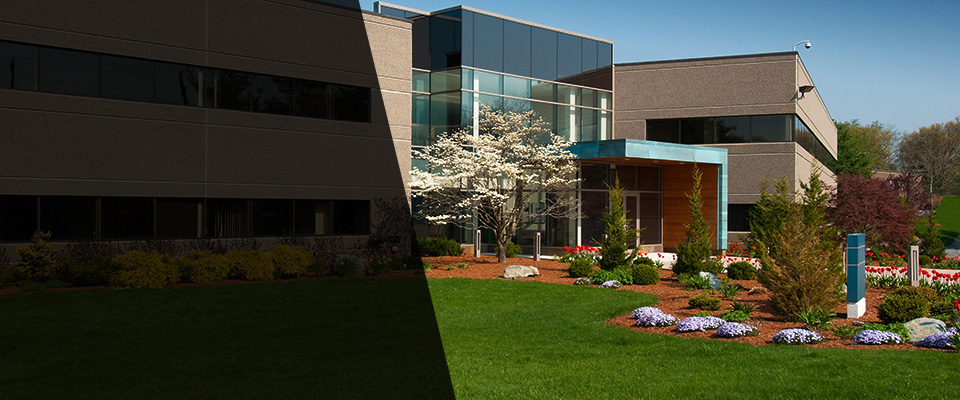 Yorba Linda Landscapers