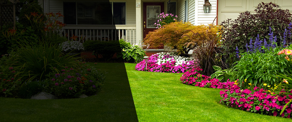 Yorba Linda Landscapers
