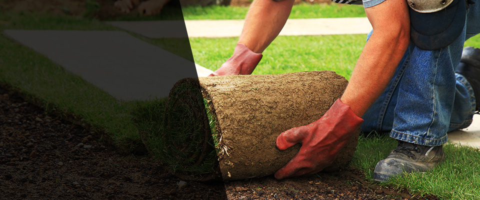 Yorba Linda Landscapers